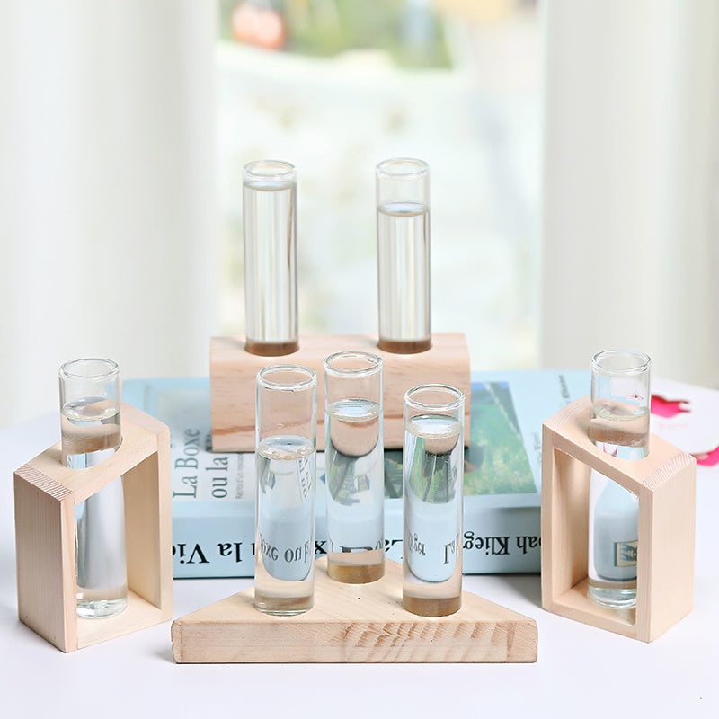 Glass hydroponic indoor small vase