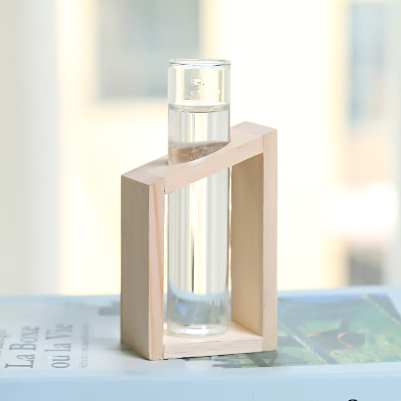 Glass hydroponic indoor small vase