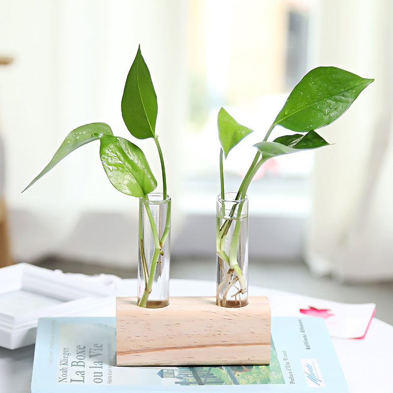 Glass hydroponic indoor small vase