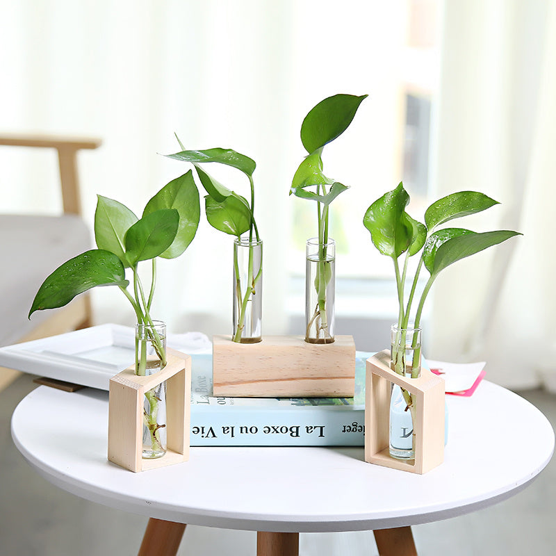 Glass hydroponic indoor small vase