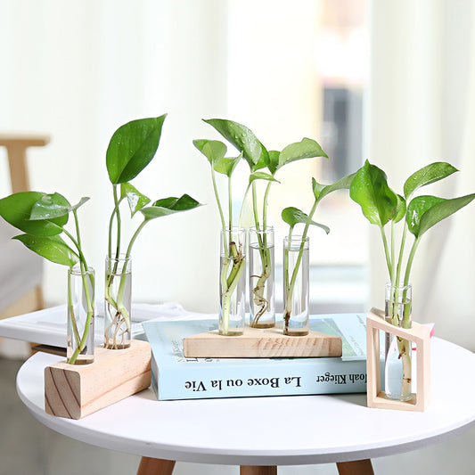 Glass hydroponic indoor small vase