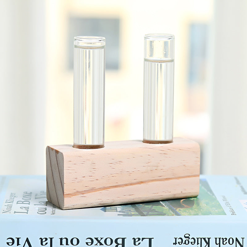 Glass hydroponic indoor small vase