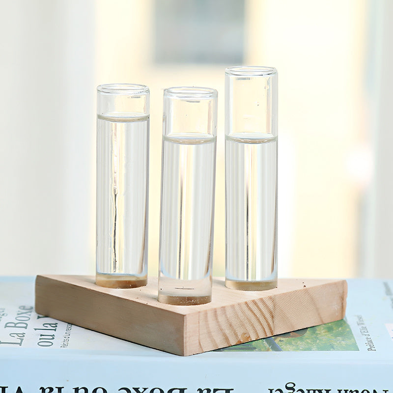 Glass hydroponic indoor small vase